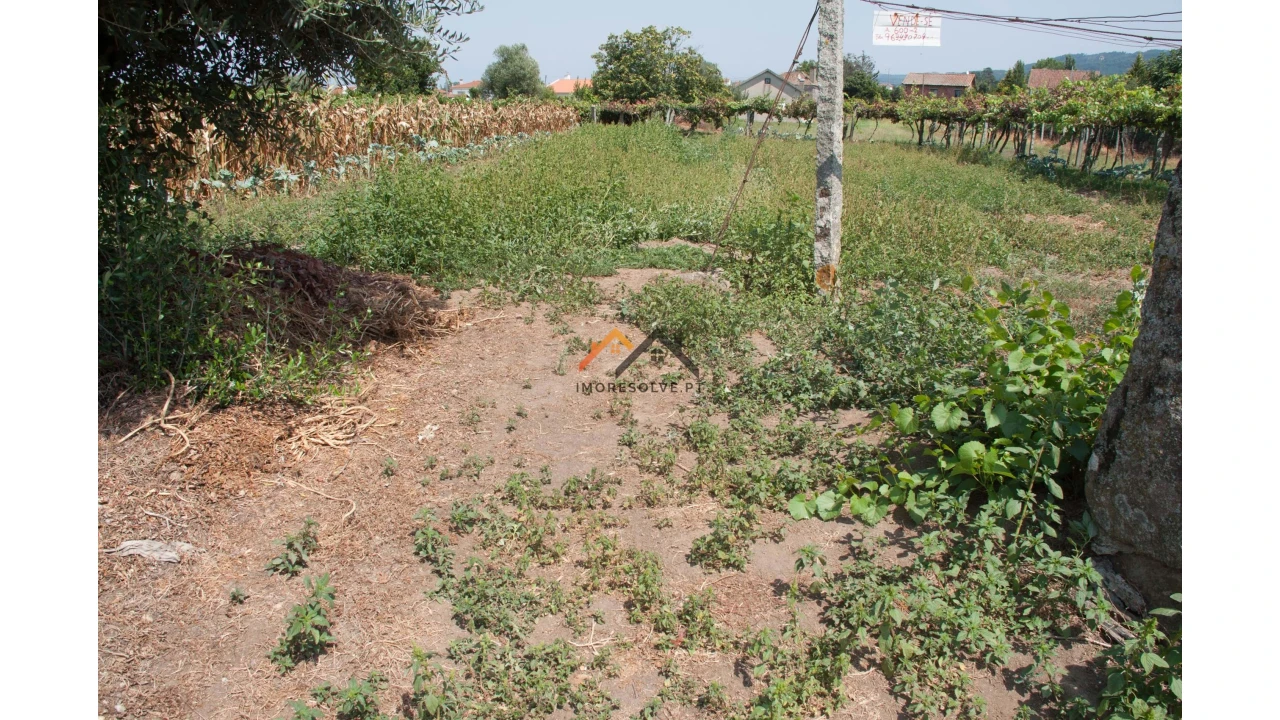 Terreno para Venda em Subportela, Deocriste e Portela Susã Foto 6