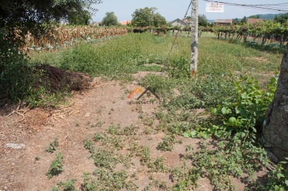 Terreno para Venda em Subportela, Deocriste e Portela Susã