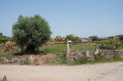 Terreno para Venda em Subportela, Deocriste e Portela Susã