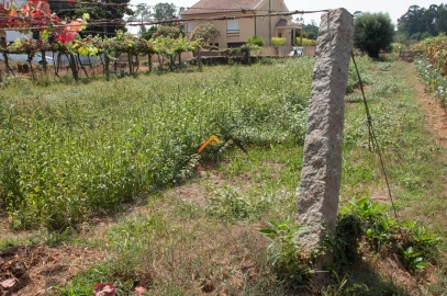 Terreno para Venda em Subportela, Deocriste e Portela Susã
