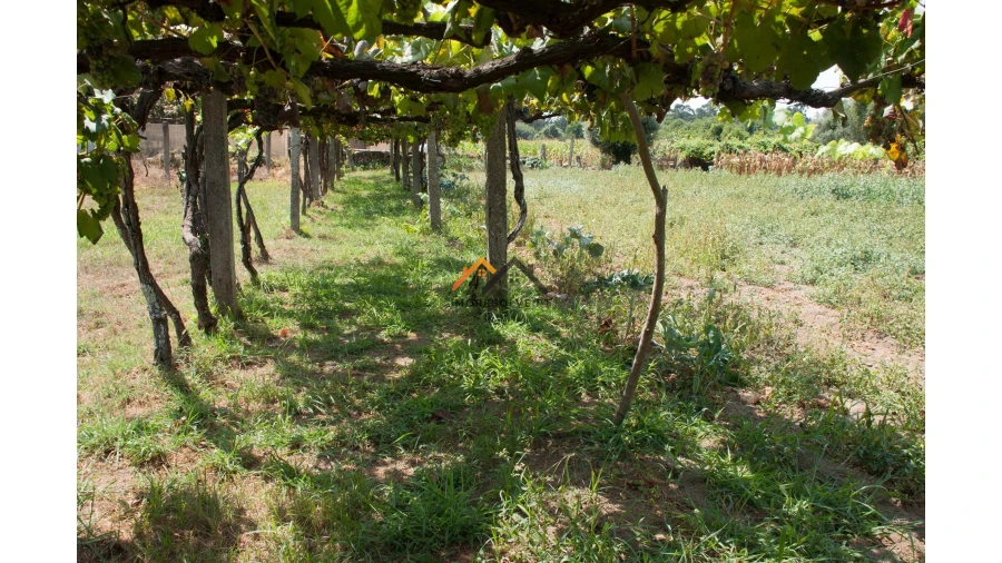 Terreno para Venda em Subportela, Deocriste e Portela Susã Foto 5