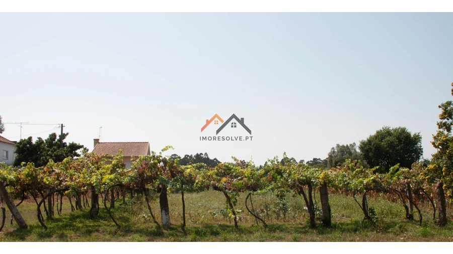 Terreno para Venda em Subportela, Deocriste e Portela Susã Foto 2