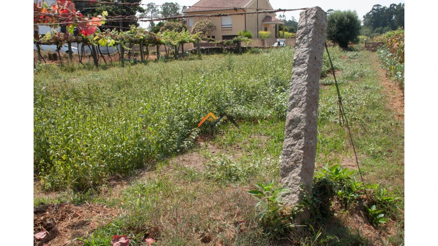 Terreno para Venda em Subportela, Deocriste e Portela Susã Foto 3