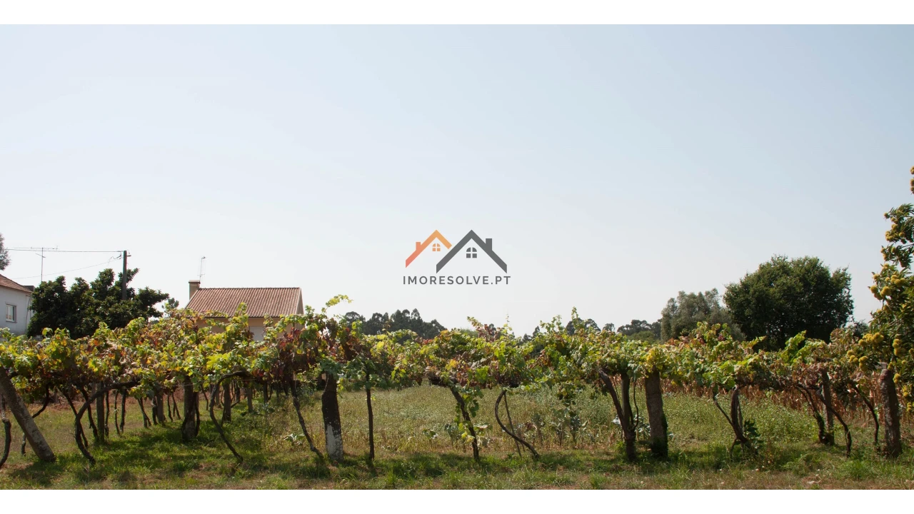 Terreno para Venda em Subportela, Deocriste e Portela Susã Foto 2