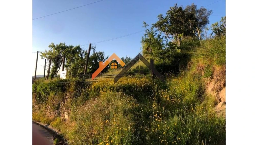 Terreno para Venda em Azere Foto 3