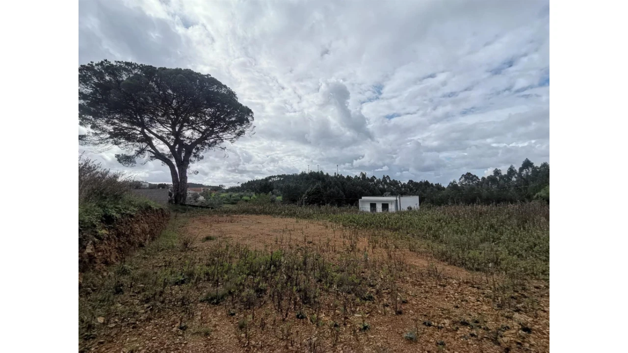 Terreno para Venda em Figueira de Lorvão Foto 3