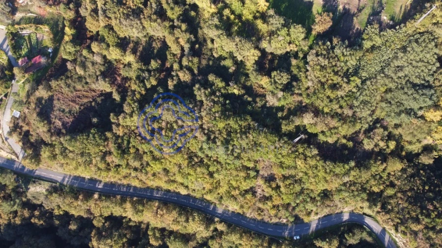 Terreno para Venda em Soalhães Foto 2