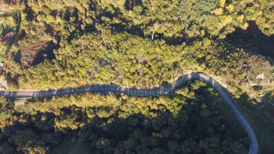 Terreno para Venda em Soalhães Foto 1