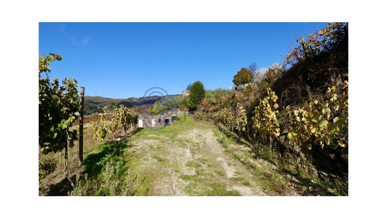 Terreno para Venda em Gove Foto 6