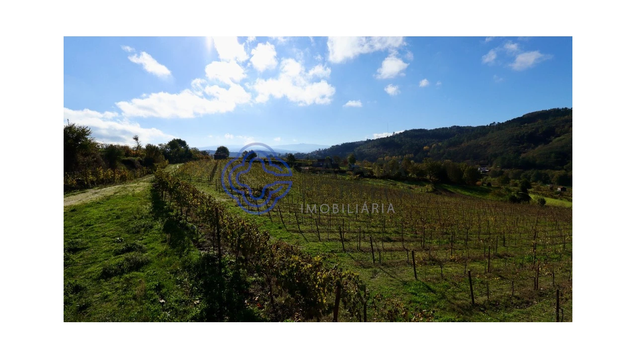 Terreno para Venda em Gove Foto 10