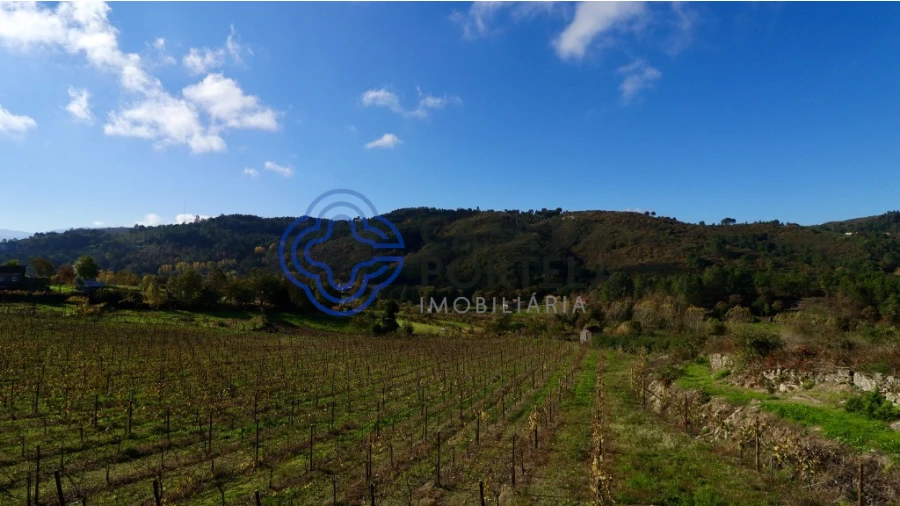 Terreno para Venda em Gove Foto 16