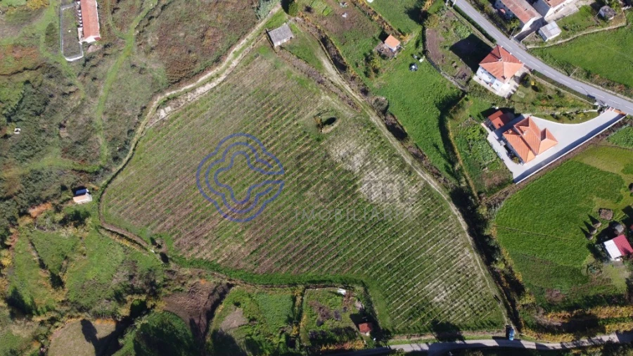 Terreno para Venda em Gove Foto 3