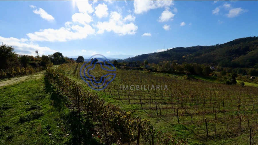 Terreno para Venda em Gove Foto 10