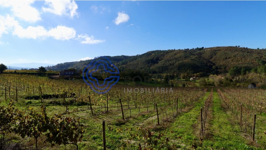 Terreno para Venda em Gove Foto 18