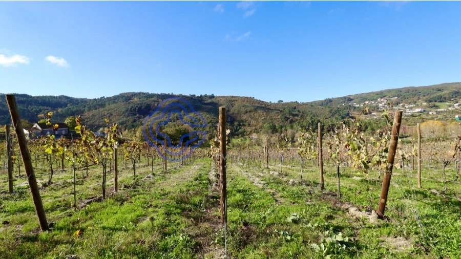 Terreno para Venda em Gove Foto 7