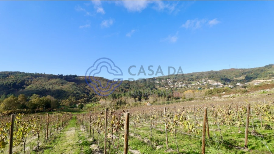 Terreno para Venda em Gove Foto 15