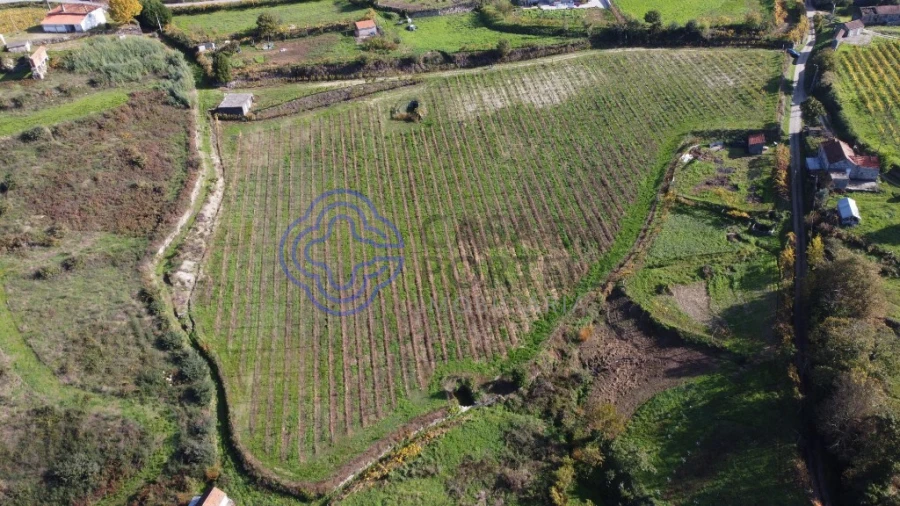Terreno para Venda em Gove Foto 4