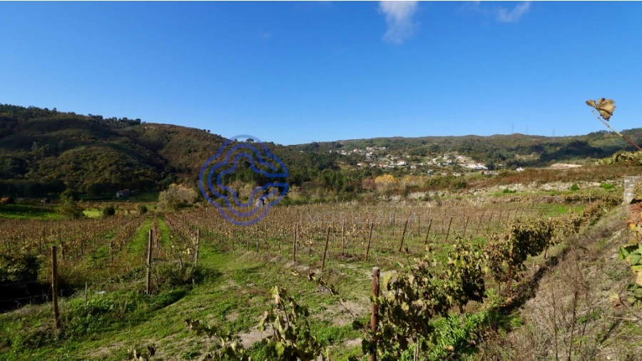 Terreno para Venda em Gove Foto 12