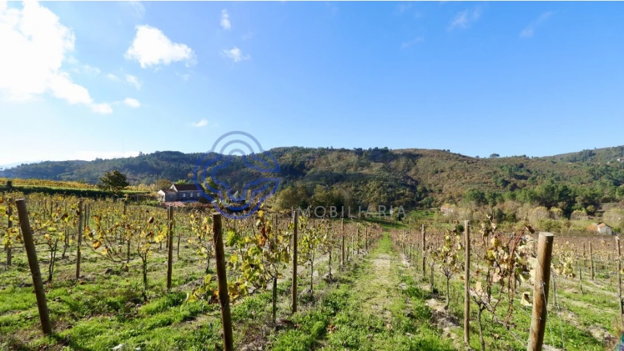 Terreno para Venda em Gove Foto 11