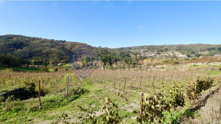 Terreno para Venda em Gove Foto 8