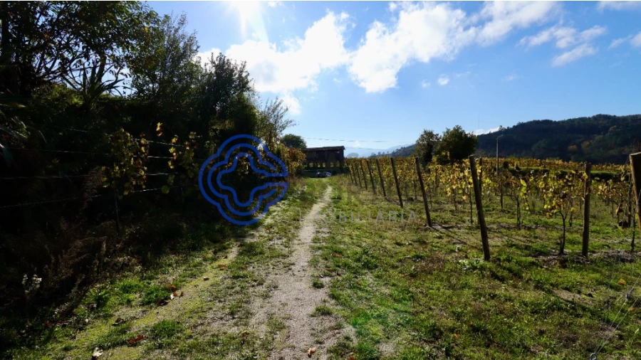 Terreno para Venda em Gove Foto 5