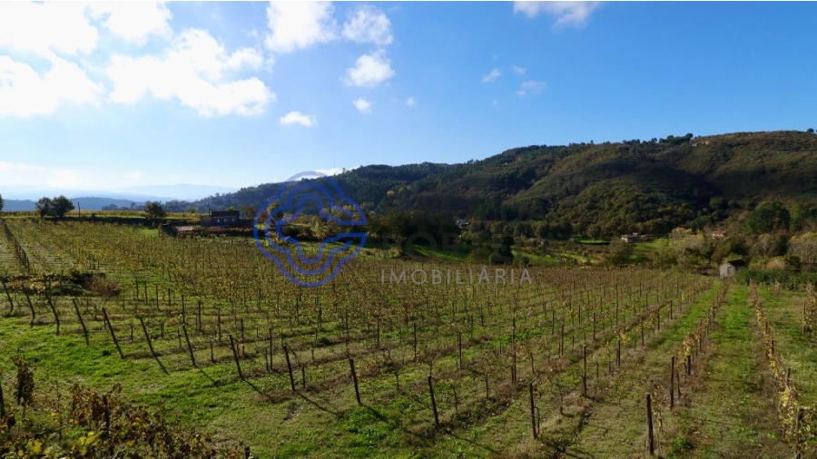 Terreno para Venda em Gove Foto 17