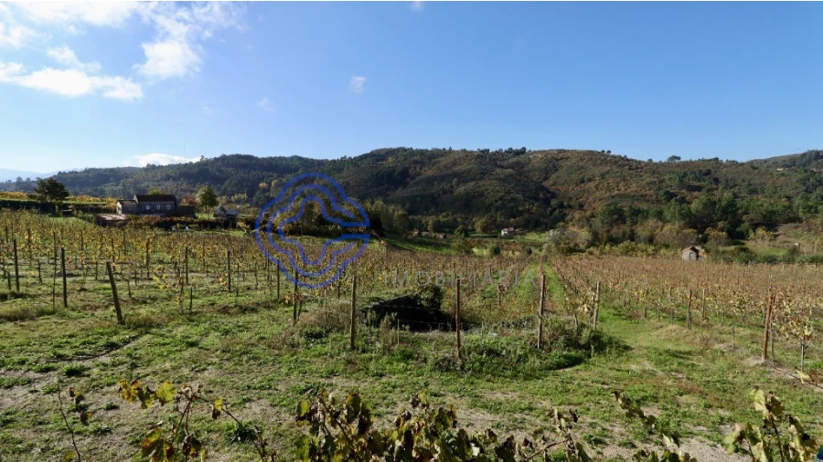 Terreno para Venda em Gove Foto 9