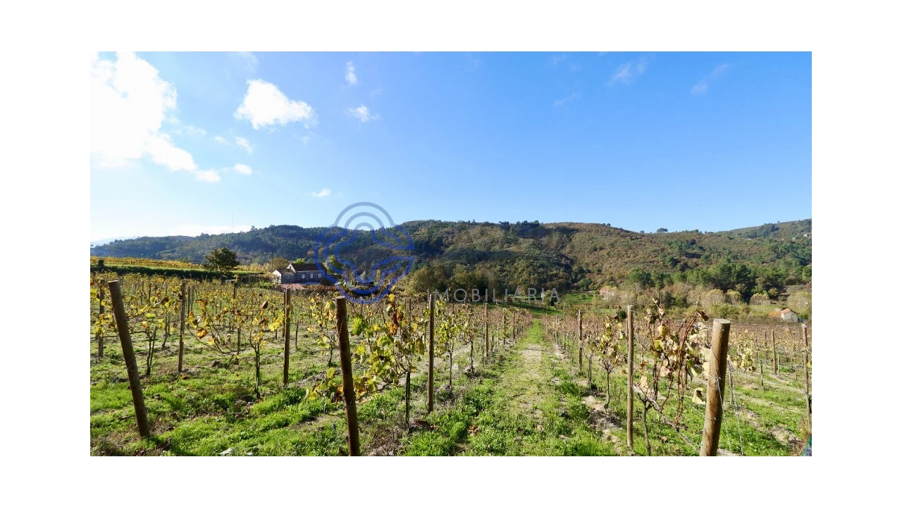 Terreno para Venda em Gove Foto 11