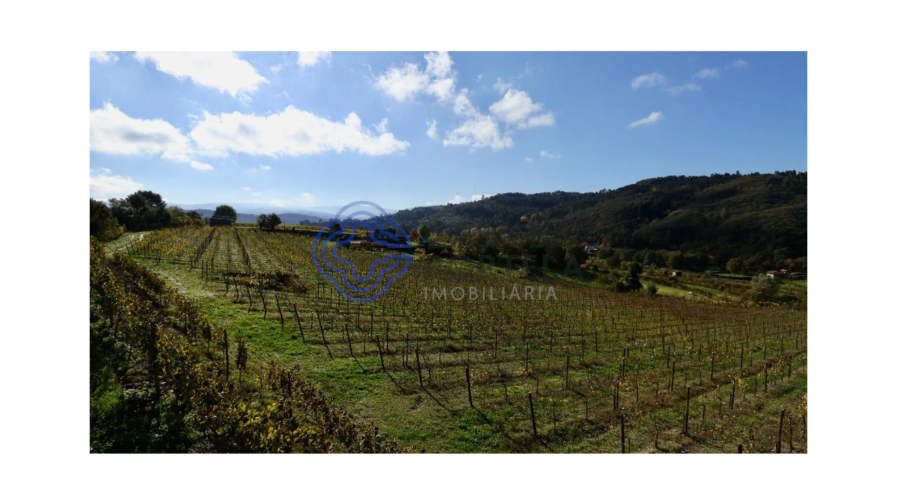 Terreno para Venda em Gove Foto 14