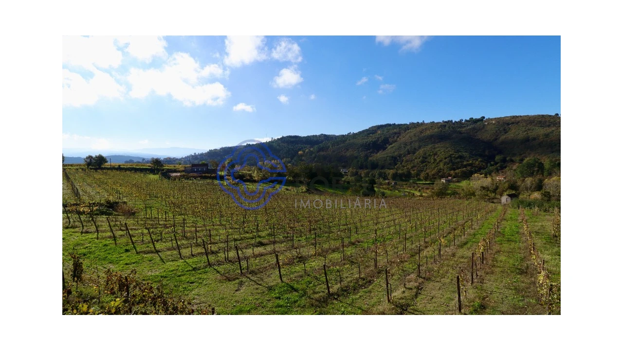 Terreno para Venda em Gove Foto 17