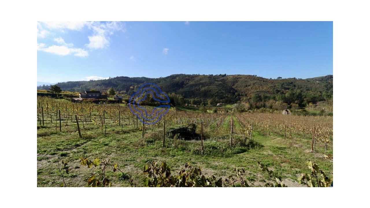 Terreno para Venda em Gove Foto 9