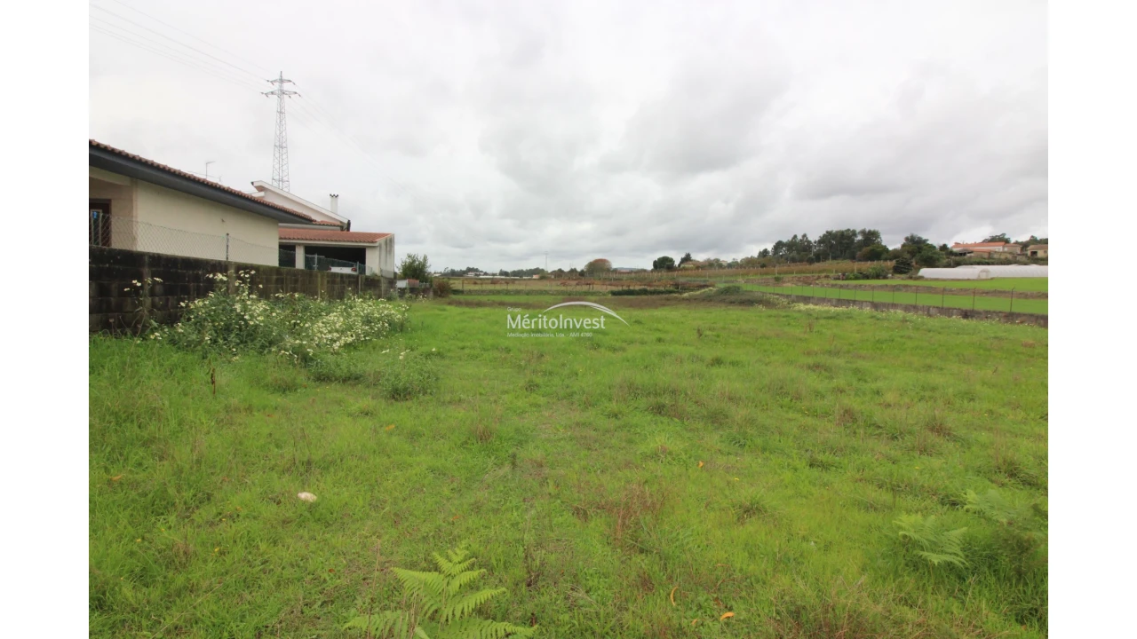 Terreno para Venda em Galegos (São Martinho) Foto 1