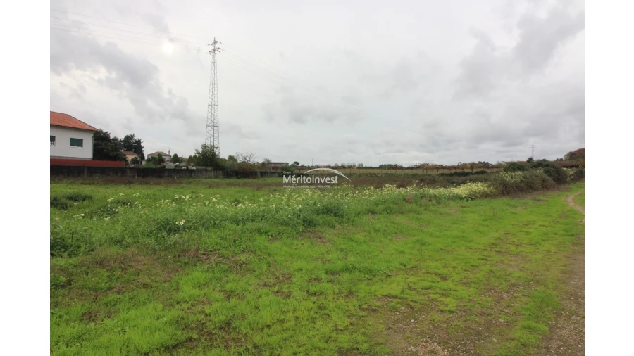 Terreno para Venda em Galegos (São Martinho) Foto 5