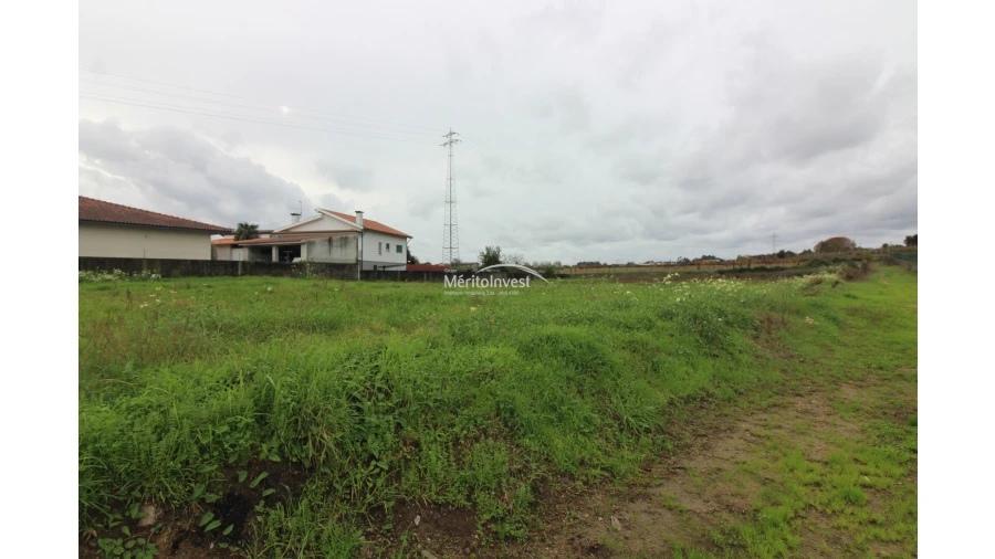 Terreno para Venda em Galegos (São Martinho) Foto 2