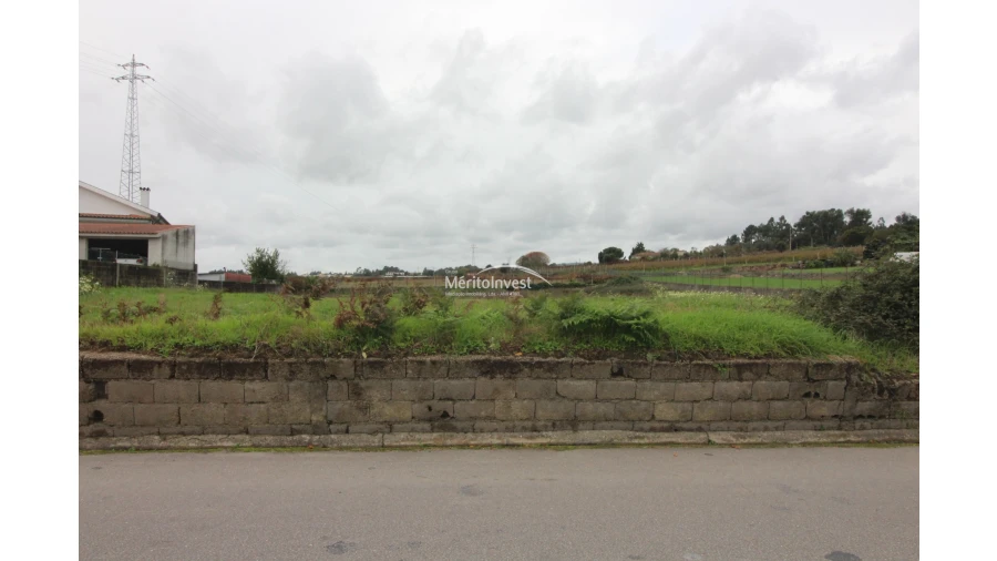 Terreno para Venda em Galegos (São Martinho) Foto 6