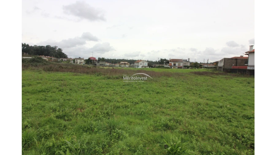 Terreno para Venda em Galegos (São Martinho) Foto 4
