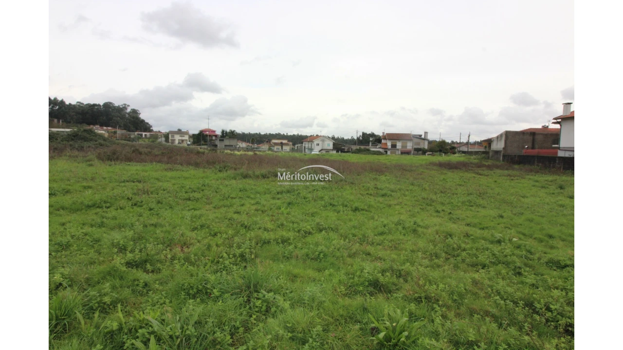 Terreno para Venda em Galegos (São Martinho) Foto 4