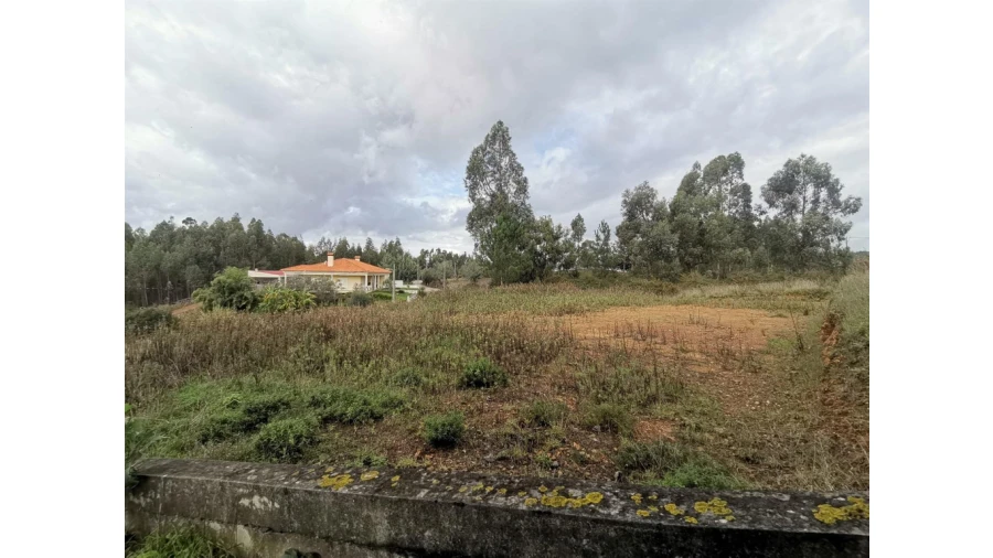 Terreno para Venda em Figueira de Lorvão Foto 5
