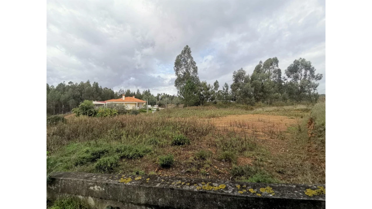 Terreno para Venda em Figueira de Lorvão Foto 5