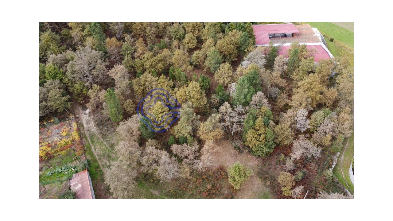 Terreno para Venda em Gestaço Foto 15