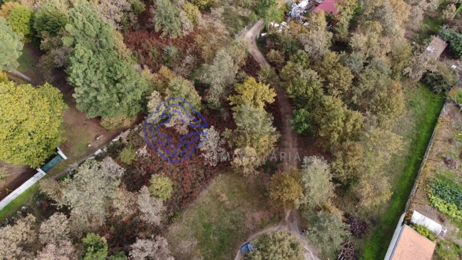 Terreno para Venda em Gestaço Foto 13