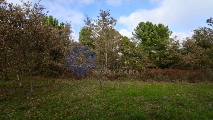 Terreno para Venda em Gestaço Foto 8