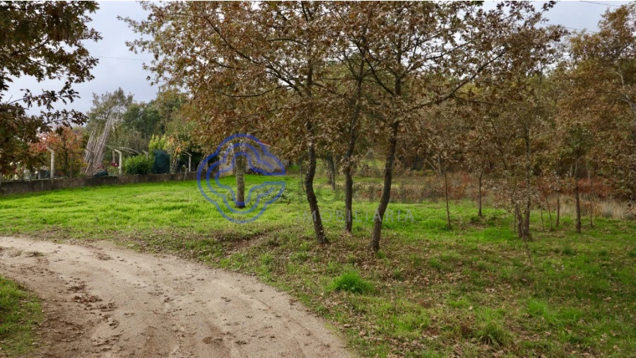Terreno para Venda em Gestaço Foto 5