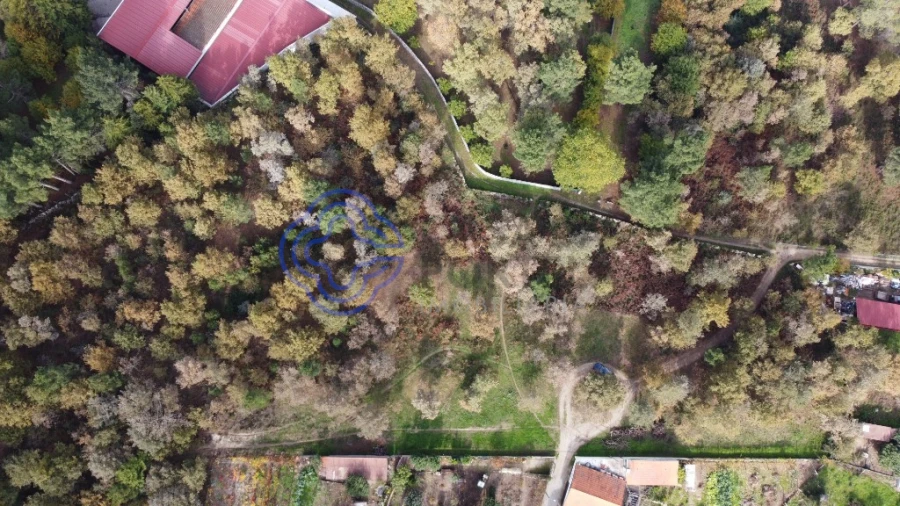 Terreno para Venda em Gestaço Foto 17