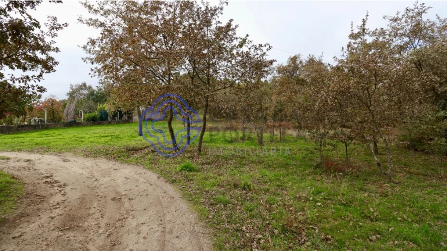 Terreno para Venda em Gestaço Foto 4