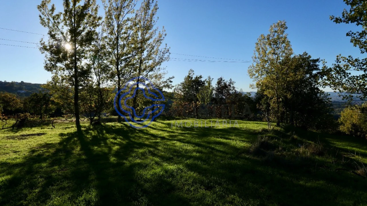 Terreno para Venda em Soalhães Foto 5