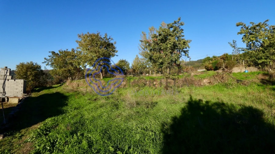 Terreno para Venda em Soalhães Foto 6