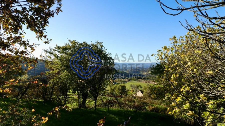 Terreno para Venda em Soalhães Foto 10