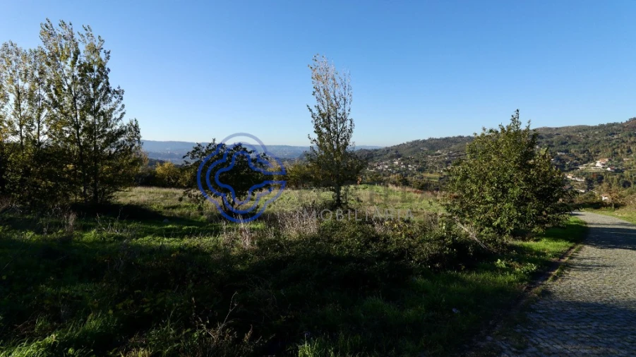 Terreno para Venda em Soalhães Foto 9