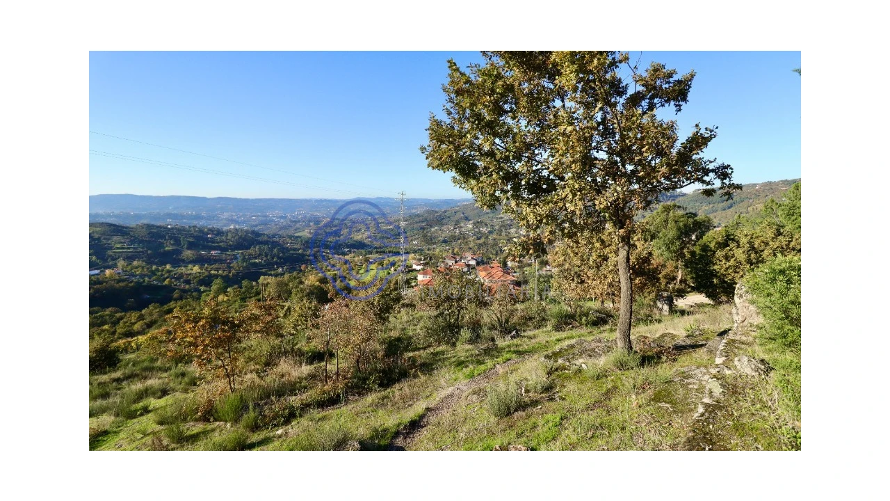 Terreno para Venda em Soalhães Foto 4